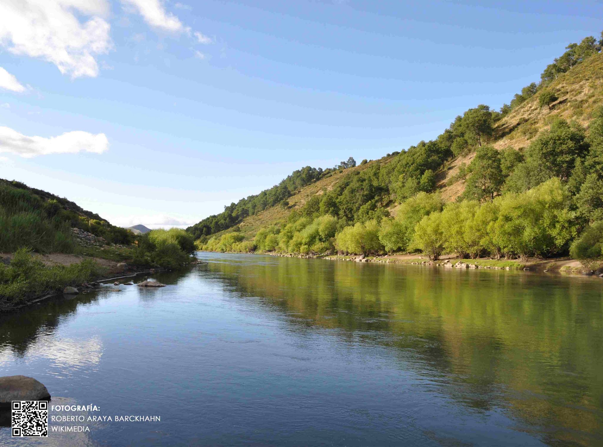 Río Biobío en Lonquimay